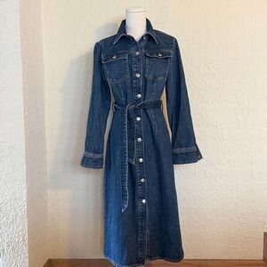 Denim Button-Down Belted Dress